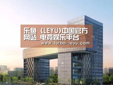 案例展示四