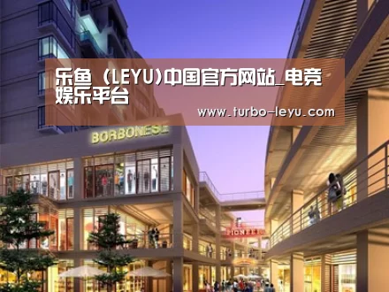 案例展示一