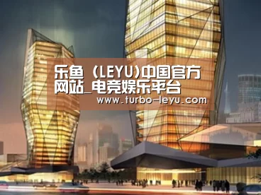 案例展示三