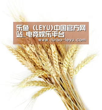 乐鱼 (LEYU)中国官方网站_电竞娱乐平台