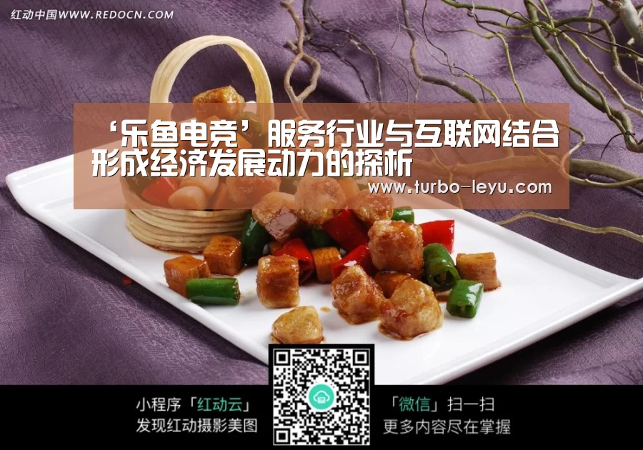 ‘乐鱼电竞’服务行业与互联网结合形成经济发展动力的探析(图1) 乐鱼