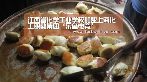 乐鱼电竞
